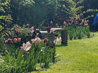 Stunning Thurlestone Cottage Devon - 1