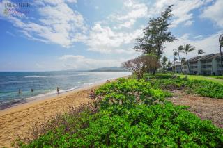 Islander on the Beach 120 - Studio - 2