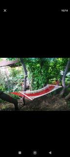 Green haus - 9