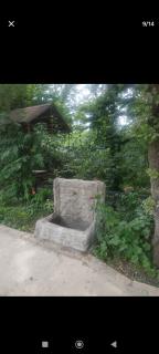 Green haus - 1