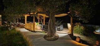 Actaea Villa - 6