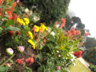 Elysian Hills Heritage Bungalow in Nuwara Eliya - 3