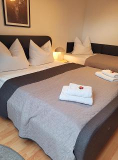 Apartment Sternenhimmel I Aufzug I Stellplatz I Modern - 3
