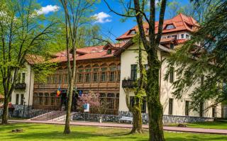 Hotel Regal 1880 - Boutique Hotel in Parcul Central Sinaia - 9