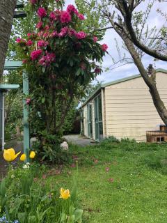 Christchurch - 7