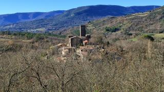La Pignada, gîte tout confort, au calme et au vert 4 personnes à Fozières - Hérault - 2