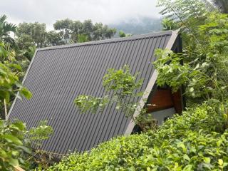 Rainforest Emerald Haven - 3