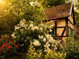 Idyllisches Ferienhaus Nähe Dümmer See Auszeit Sauna Natur - 9