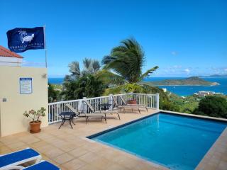 Tropical Palm Villa - 4
