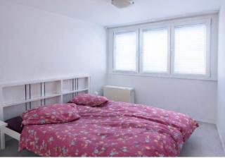 Über den Dächern von Nürnberg - Schöne 3 Zimmerwohnung - 1