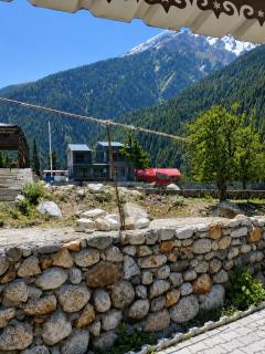 The Kapoor homestay - 1