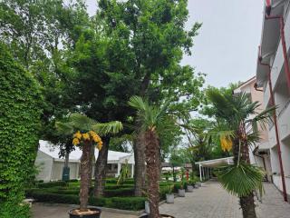 Hotel Turist Beharca - Beharca - 9