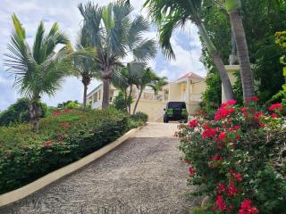 Tropical Palm Villa - 2