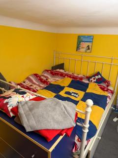 Cozy apartment of Bazilica - 5