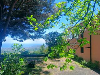 Etna Antico palmento - 0