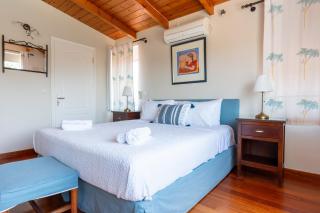 Athens Riviera Villa in Lagonissi with Pool & Garden - 1