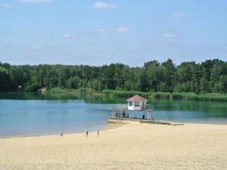 Bernsteinsee Home and Ferien Small Forest Chalet - 5