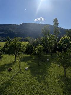 Elis Villa Berat - 8