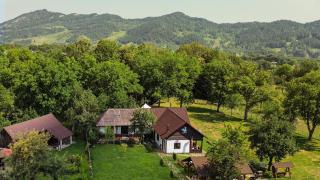 Pensiunea Cocoș - 9