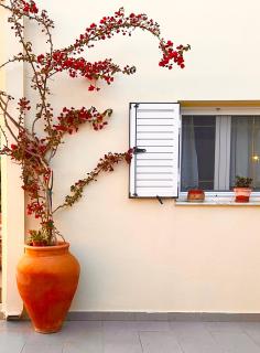 ELÉA Guesthouse himare - 9