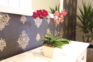 F Hotel Jakarta - Jakarta - 5
