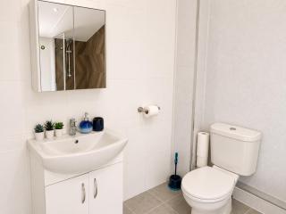 Ground Floor 2 Bedroom Flat Tooting Broadway - 5