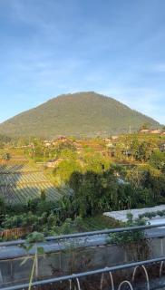 Pondok Kebun Sayur - 9