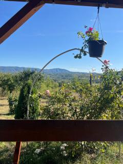 The Orchard Manor - 8
