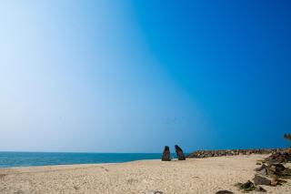 Marari White Home - Alleppey - 2