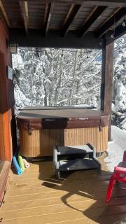 Paradise on Payette Lake- With Private Dock,Hot Tub and Sauna - 2