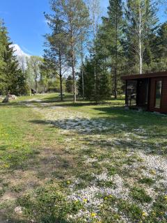 Kargevärava kämping - 2
