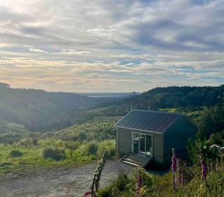 Cabin in the Hills, private with incredible views - 8