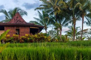 Villa Neyang - Ubud - 4