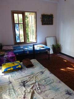Jungle Paradise Hostel - 0