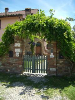 Nido di Rondine - Montespertoli - 4