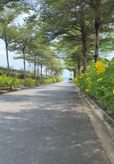Sonasea Luxury Villa 4 Br with night market - 5