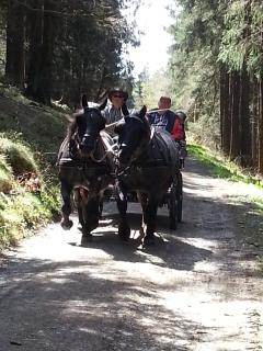 Ferienwohnung Ohmeis - 5