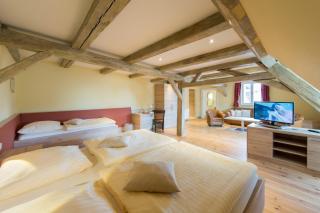 Hotel Theophano - Quedlinburg - 1