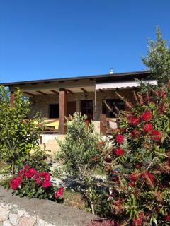 Guest House Mare - 2