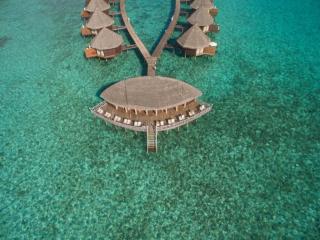 Angaga Island Resort and Spa - 5