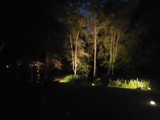 NaturSpa Haus am See - 5