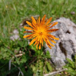 Stanza Malga Ciauta - 2