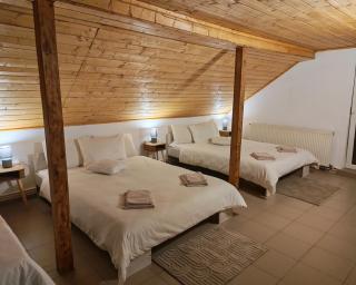 Cabana Tarța din Blidari 1 - 4