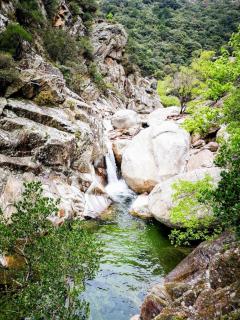 Cocon du Sud, Pouzolles - 6