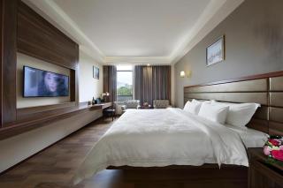 Hanyong Hotel Shenzhen International Exhibition Center - 1