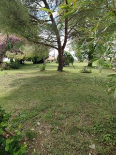 A Bohemian Haven in Nature - 4
