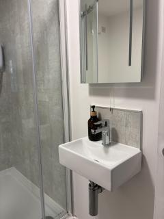Springbank Apartments - The Suite with Garden - 2