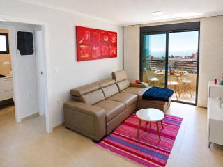 Penthouse with Panoramic View Santa Pola - 5