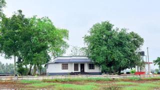Green Island Casa Homestay - 3
