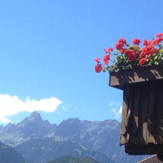 Alpenhaus Waldberg - Schruns - 4